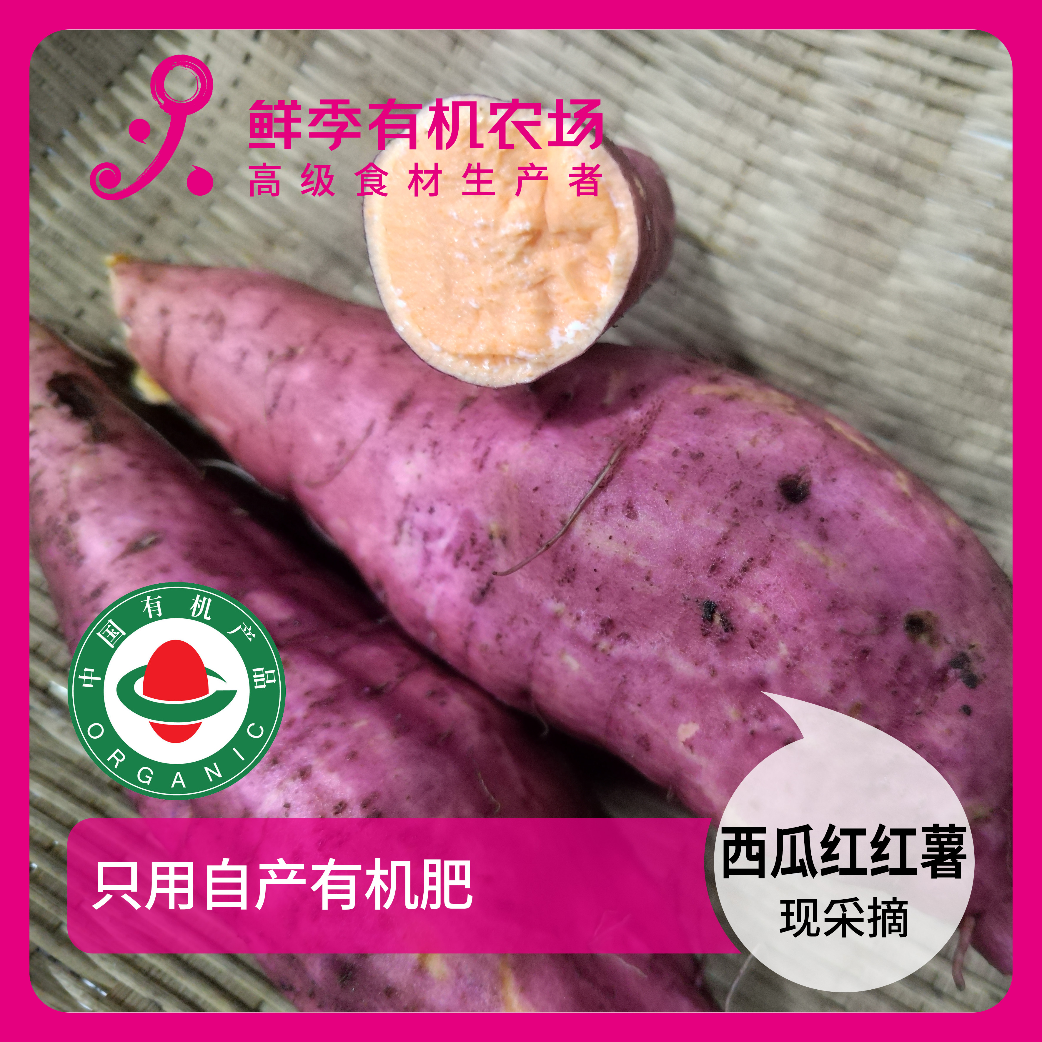 有机西瓜红红薯500克