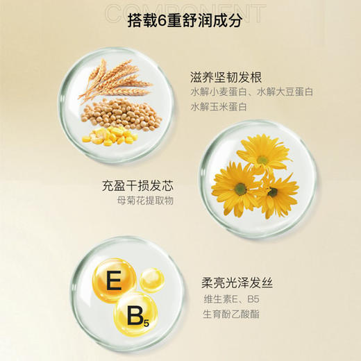 【新品升级】博柔香氛洗发水香味持久留香洗发露修复毛躁干枯女柔顺顺滑洗发水发膜套装 商品图5