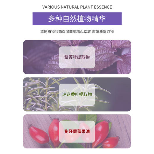 黛珂植物欣韵保湿乳/爽肤水200ml 收缩毛孔调节水油 商品图2