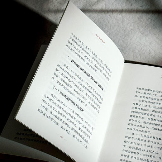 教育强国建设 大夏书系 知道 朱永新 创新实践路径 教育发展 商品图11