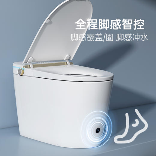 【门店款】帝王洁具M40智能马桶一体坐便器低水压家用马桶TA046 商品图3