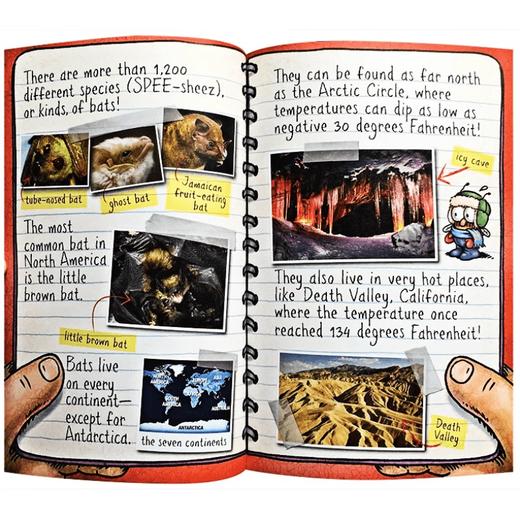 苍蝇小子科普版FLY GUY PRESENTS ( BUDDY+) (CH) 15册塑封 商品图4