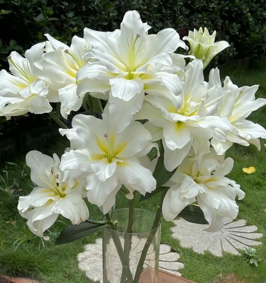 精品百合暴风雪重瓣百合 商品图1