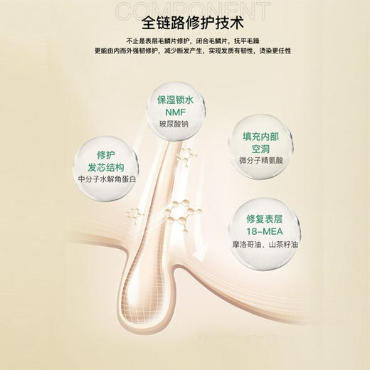 【新品升级】博柔香氛洗发水香味持久留香洗发露修复毛躁干枯女柔顺顺滑洗发水发膜套装 商品图4