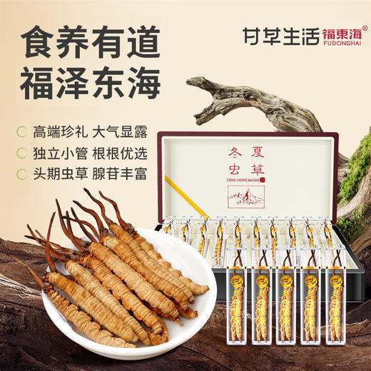 福东海 冬虫夏草5g 高档礼盒装送礼长辈送父母滋补营养品见面礼物 商品图0