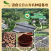 萃合康牌破壁灵芝孢子粉120g/盒 商品缩略图2