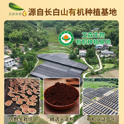 萃合康牌破壁灵芝孢子粉120g/盒 商品图2