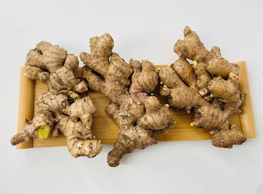 【云南高原小黄姜·老姜】千年养生智慧——餐桌都少不了它，厨房必不可少的佐料🤣云南海拔1500米高原露天有机标准种植 商品图5