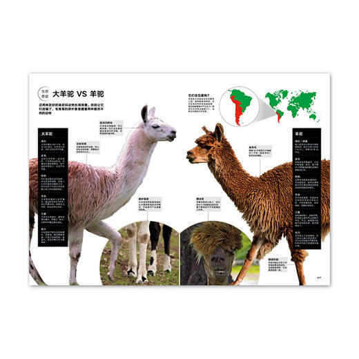 动物志·第二辑《亲密关系》《风采亚洲》《比人更聪明》《极致绚烂》纸上动物世界 万物有灵 生生不息  读库 商品图8