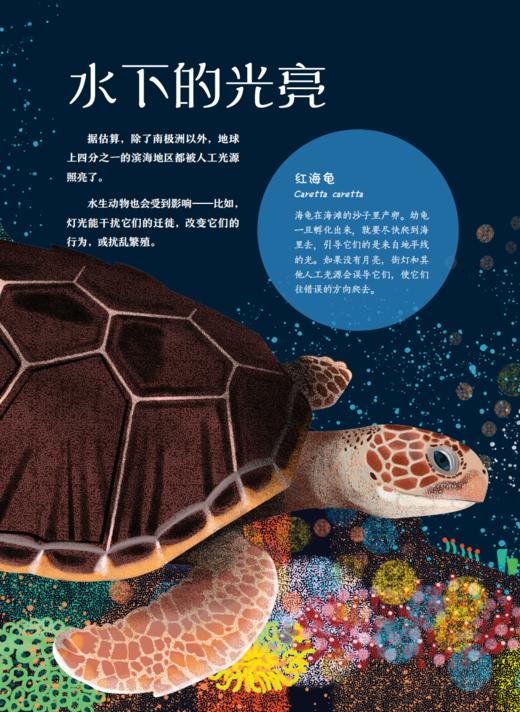 《流明：谁把星星藏了起来？》 商品图13