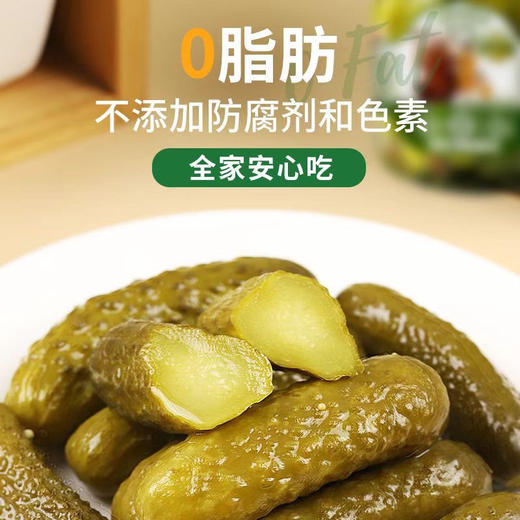 林道斯俄瓦斯号俄式乳黄瓜 商品图8