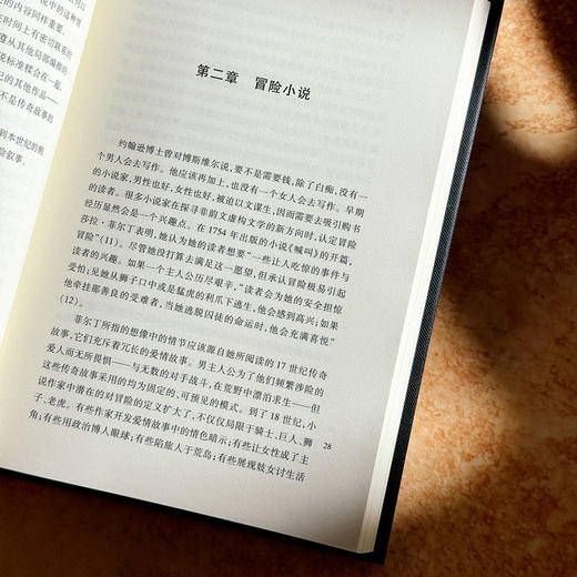 新开端 18世纪英国小说实验 十八世纪英国小说发展史 六点图书 商品图9