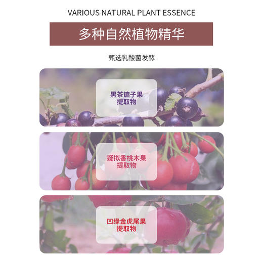 黛珂植物欣韵保湿乳/爽肤水200ml 收缩毛孔调节水油 商品图4