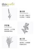 【礼想心动】thisworks 睡眠喷雾舒压精油 旅行套装 5ml*2支/盒 商品缩略图4