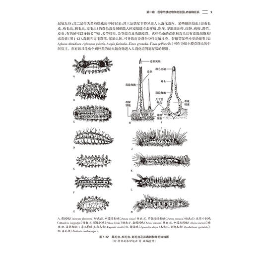 医学节肢动物学 第2二版 李朝品 系统介绍昆虫纲蛛形纲唇足纲倍足纲甲壳纲和舌形纲中的诸多医学节肢动物的种类 人民卫生出版社 商品图4