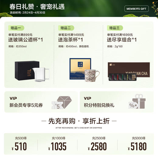 小罐茶大师系列早春龙井茶24罐装(银罐) 商品图1