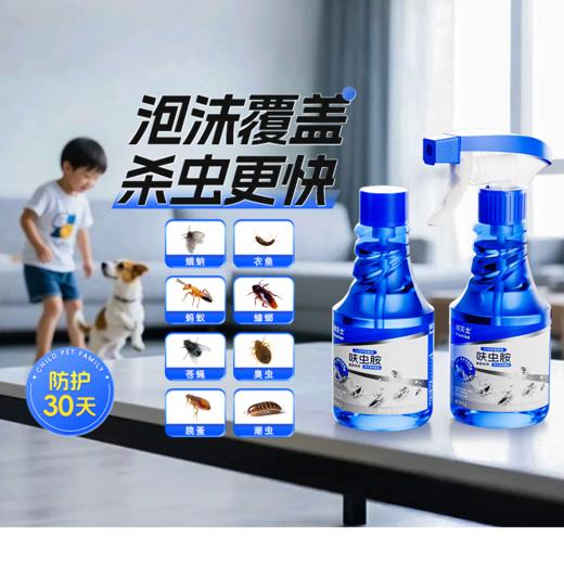 热卖！虫子逃光光！德国拜耳拜灭士 呋虫胺泡沫杀虫剂 无味无刺激 泡沫喷雾两种形态 300ml*2瓶 商品图6