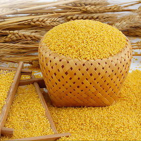 黄小米 500g
