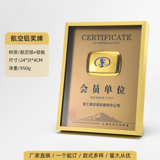 短视频平台活动颁奖纪念弹幕哔哩哔哩奖牌加盟代理创意金属授权牌 商品图1