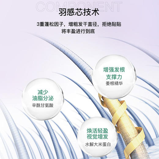 【新升级】博柔蓬松洗发水香味持久留香洗发水控油蓬松改善毛躁洗发露发膜套装 商品图2