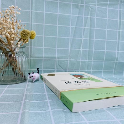 八年级上册课外名著阅读 正版保证 昆虫记 人教版 商品图1