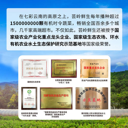 芸岭鲜生有机玉米汁 （无糖）230克*10瓶 商品图8