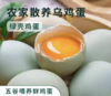 【包邮】九华山生态绿壳乌鸡蛋 光滑细腻的绿売 透亮粘稠的蛋清浓香蛋黄~ 低脂肪、低胆固醇！ 商品缩略图0