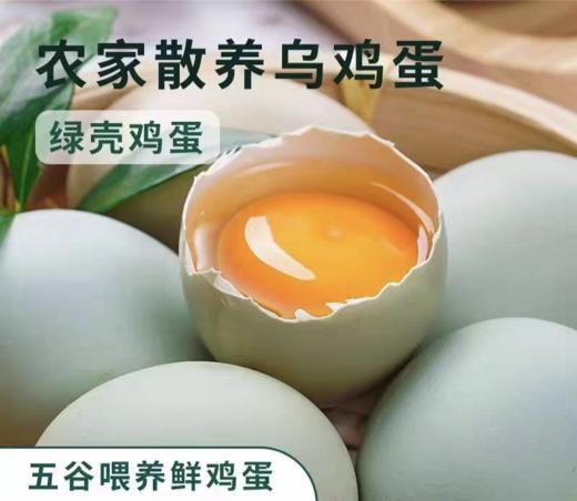 【包邮】九华山生态绿壳乌鸡蛋 光滑细腻的绿売 透亮粘稠的蛋清浓香蛋黄~ 低脂肪、低胆固醇！ 商品图0