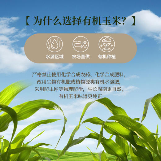 芸岭鲜生有机玉米汁 （无糖）230克*10瓶 商品图6