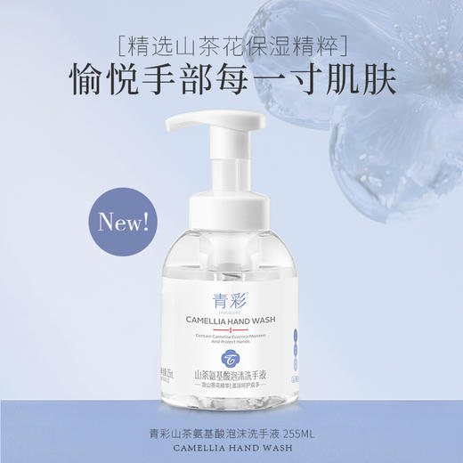 山茶氨基酸泡沫洗手液 255ml  A-4846 商品图1
