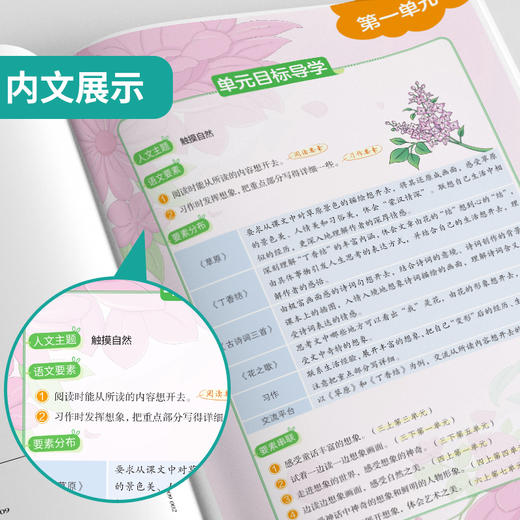2025年秋【人教版】语文六年级上册 小学实验班学霸笔记 商品图3