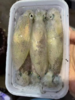 & 精品带籽鱿鱼🦑品质一级棒👍个个带籽味道更绝😋活冻 商品缩略图1