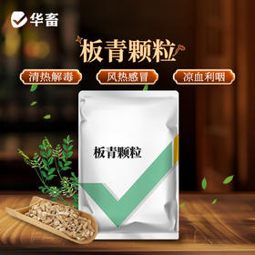 华畜板青颗粒500g 国标中兽药 清热解毒凉血下火 禽畜牛羊通用