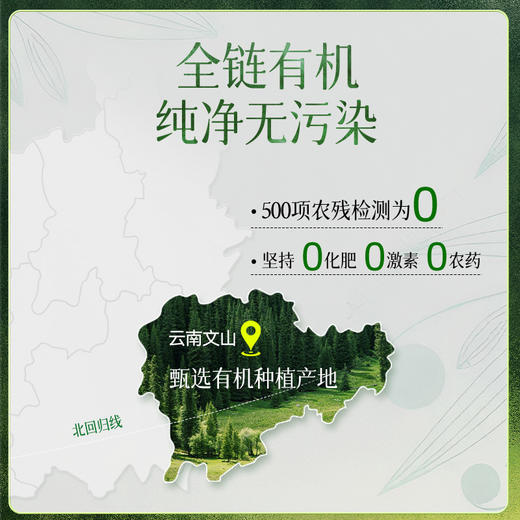 有机黑胡椒粉 100g /瓶【京东快递送货上门】 商品图4