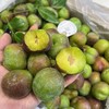 半边红脆李 李子 商品缩略图5