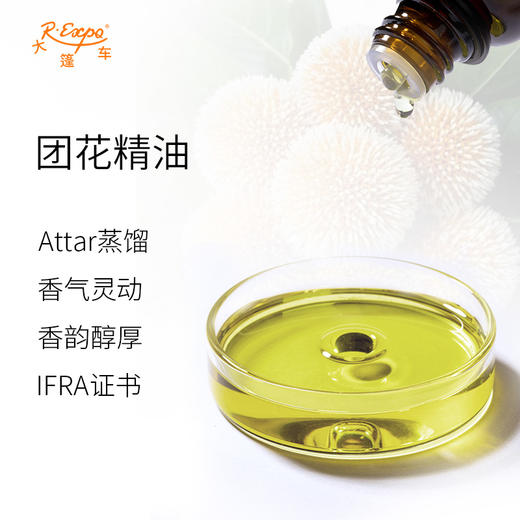 团花精油 Kadamb Oil 印度直采 原料批发芳疗护理调香 大篷车精油 商品图1