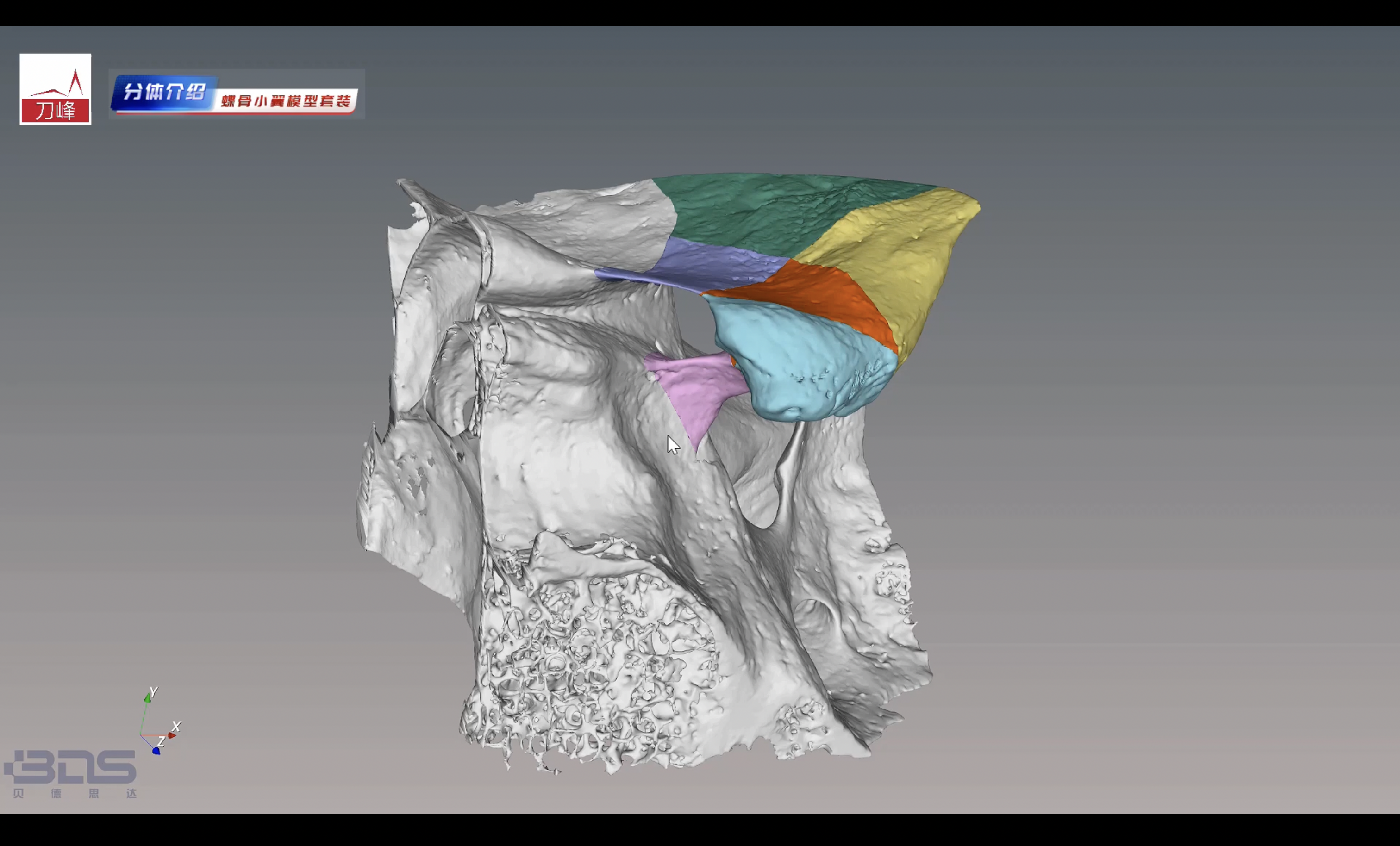 分区模型介绍及讲解