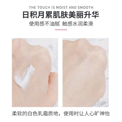 黛珂DECORTE牛油果面霜40ml 不油腻改善粗糙柔软肌肤 商品图3