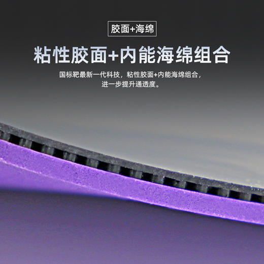 Sanwei三维国标靶紫金王朝专业乒乓球胶皮内能海绵粘性反胶套胶 商品图3