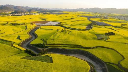 【云南罗平假日基地】 商品图14