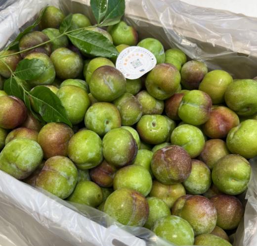 半边红脆李 李子 商品图2