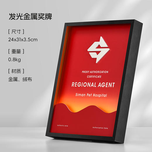 创意diy奖牌定制发光奖杯授权牌定做企业高档金属荣誉颁奖纪念牌 商品图8