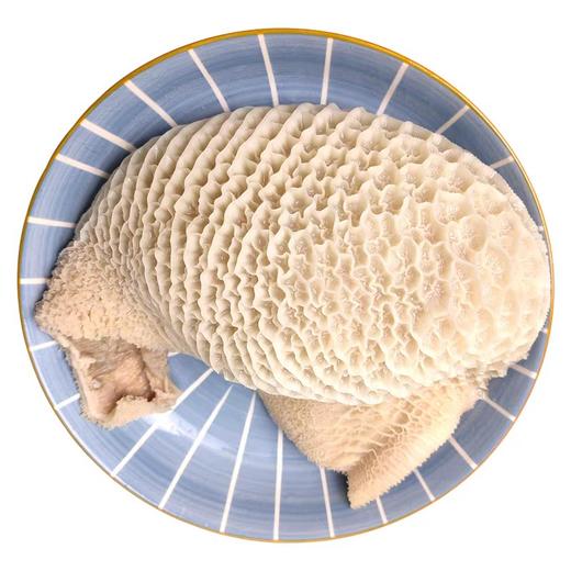 新鲜金钱肚 蜂窝牛肚，1份2斤 商品图1