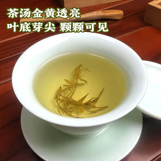【入口回甘❗️莓茶特级土家茶】甄选产地当地新货，手工筛选自然晾晒，无熏染无添加，美味健康无负担， 张家界茅岩嫩芽芽尖藤茶20克罐装龙须养生茶L 商品图3