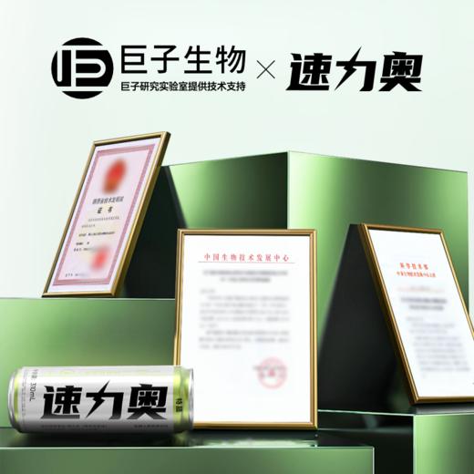 【元气"助推器" 1罐≈6根人参皂苷含量】速力奥发酵人参营养饮料 310ml*6罐/12罐 商品图3