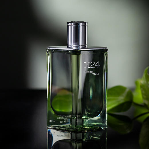 爱马仕 律动二十四沁然逸动 Hermes H24 Herbes Vives 分装 商品图5