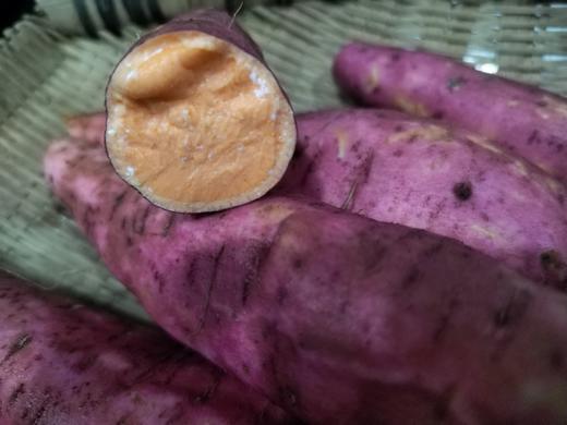 年卡-西瓜红红薯500g 商品图2