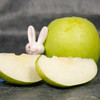 【安徽砀山青梨】京东快递|主推安徽砀山青梨酥脆一号3斤5斤9斤清甜多汁 商品缩略图5