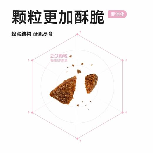 纯褔猫粮酶解鸡肉幼猫成猫全阶段美短英短布偶蓝猫天然无谷猫粮 1kg*2包 商品图1