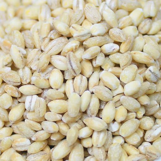 金亮子·麦仁600g  保留胚芽营养 适合日常养生与控重人群 商品图3